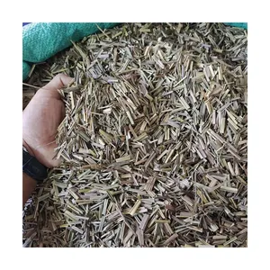 กลิ่นวานิลลามัสค์วานิลลาแห้งผลิตจากผงจากโรงงานในเมือง Yulin