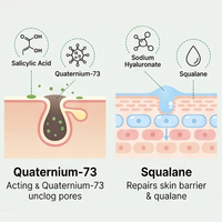 Sérum Traitant l'Acné à l'Acide Salicylique, au Quaternium-73, à l'Hyaluronate de Sodium et au Squalane, Contrôle du Sébum et Réparation de la Barrière Cutanée, Marque Privée