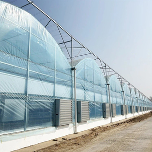 Serre multi-chapelles Skyplant à économie d'énergie avec couverture en verre double couche et isolation thermique supérieure pour des coûts de chauffage réduits - Product Image 1