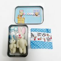 Nuevo conejo de peluche transfronterizo con bolsillo, caja de hierro, regalo de Pascua, juguete de peluche para niños, regalo para fiestas, venta al por mayor, regalo de mano, juguete de peluche de conejo