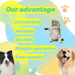 Test rapide d'anticorps canins Brucella BCL Ab - Product Image 5