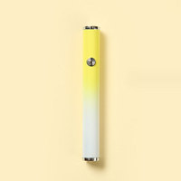 Ventes directes d'usine Nouvel allume-cigare coupe-vent Briquet rechargeable USB à faible puissance