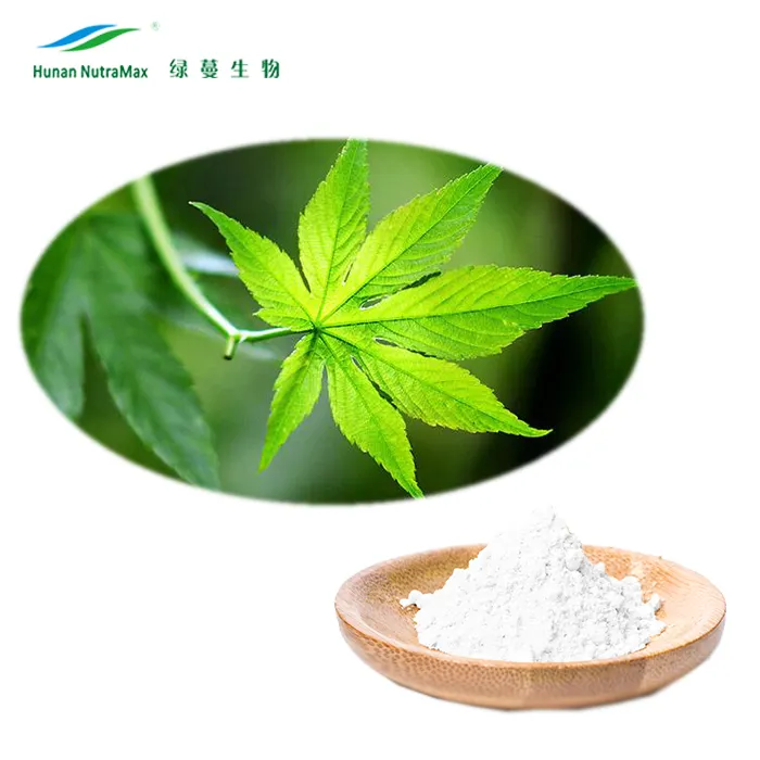 Natural Sweeteners Sweet Tea Extract Chinese Sweet Leaf Tea Plant Extract with 0 Calories