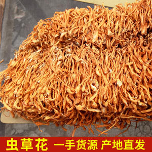1KG Lose natürliche rohe Raupen pilz Cordy ceps militaris getrocknete Cordy ceps Blume zur Herstellung von Suppe - Product Image 3