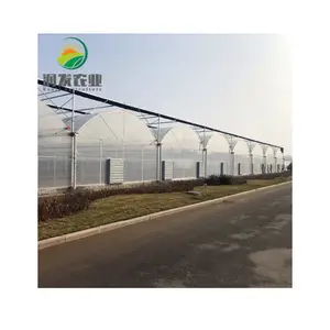 Moderne Landwirtschaft Kommerzielle mehrspanige Polycarbonat-Kunststoff folien pflanzung Green Hous Tomato Strawberry Hydro ponic Gewächs häuser