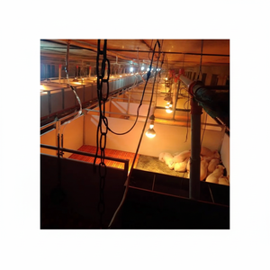 Nouvelle Étable de Sevrage pour Porcelets, Équipement d'Élevage Porcin avec Système d'Alimentation et d'Abreuvement Automatique 1.8x2.4m - Product Image 1
