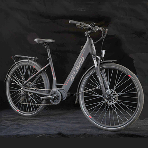 JOYKIE-Bicicleta Eléctrica personalizada de 700C, <span class=keywords><strong>bici</strong></span> de 36v y 250w, bafang, de tracción media, híbrida, <span class=keywords><strong>urbana</strong></span>, para el mercado de la UE - Product Image 2