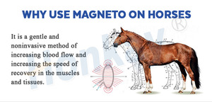 Non Invasive PEMF Equine Device for Horses Muscle Fatigue Relief and Accelerated <strong>Recovery</strong> With <strong>Dual</strong> Channel Control - Product Image 4