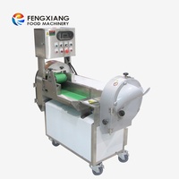 FC-301 Industrie Groentesnijder En Chopper, Kokoskool Shredder Machine