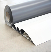 Hojas de Pvc para impermeabilización, lámina de plástico para techo de piscina, upvc