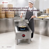 Cuisinière professionnelle à gaz en acier inoxydable robuste, avec cuve à soupe, brûleur unique et grille en fonte, pour hôtel