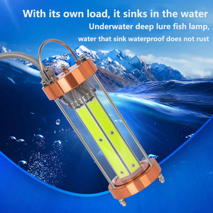600W 12V 24V <span class=keywords><strong>IP68</strong></span> <span class=keywords><strong>LED</strong></span> Câu Cá Dưới Nước Đèn thả sâu màu xanh lá cây trắng xanh - Product Image 5
