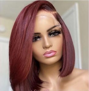 LSY Brazilian Hair Straight Lace Front <strong>Wig</strong> Colorful <strong>Rainbow</strong> <strong>Wigs</strong> for Women With High Density Swiss Lace LSY Black Vendor - Product Image 1