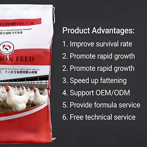 Premezcla de Alimento para Aves de Corral para Engorde de Pollos, Aumenta el Crecimiento y el Aumento de Peso, Lisina, Metionina, DCP, Multivitaminas, Venta al por Mayor de Fábrica Profesional - Product Image 2