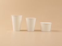 Vente en gros d'ensemble de gobelets et d'assiettes jetables de 12 oz, vaisselle blanche épaissie à paroi unique pour pique-nique et desserts