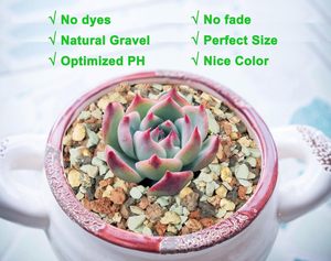 1 kg de Tierra <span class=keywords><strong>para</strong></span> Bonsáis, <span class=keywords><strong>Suculentas</strong></span> <span class=keywords><strong>y</strong></span> <span class=keywords><strong>Cactus</strong></span>, Mezcla de Piedras Boniosz, Drenaje Rápido, PH Optimizado, Sin Apagamiento de Raíces, Hecho en China - Product Image 4