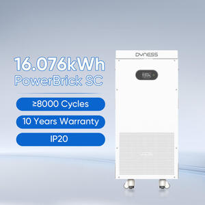 Batterie Dyness PowerBrick SC 16 kWh 51,2 V 314 Ah LiFePO4 pour stockage d'énergie domestique 8 kW 2 heures 8000 cycles Batteries au lithium - Product Image 3
