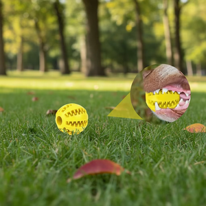 <span class=keywords><strong>Jouet</strong></span> pour animaux de compagnie, balle en caoutchouc solide pour <span class=keywords><strong>chien</strong></span>, anti-ennui, pour le nettoyage des dents, avec remise avantageuse - Product Image 4