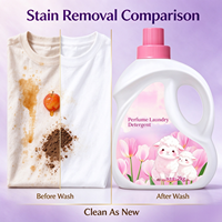 Liquide lessive personnalisable en marque blanche 2kg, parfum rose et camélia, soin doux pour les vêtements à domicile, prêt à être expédié
