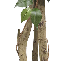 Haute qualité artificielle Ficus arbre grand faux soie branche Banyan véritable bois tige plante bonsaï faux décor pour la décoration de la maison