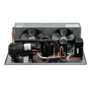 r404a air cooled condensing units for refrigeration for supermarket freezing frozen showcase with hermetic cryogenic compressor