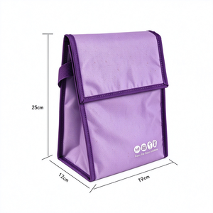 OEM 2024 Polyester <b>Paper</b> <b>Bag</b> Eco-friendly Lightweight Aluminum Foil Waterproof Insulated Thermal Japanese Style Zipper <b>Bag</b> - Product Image 3