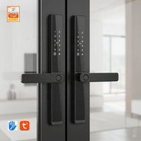 Kunci Pintu Geser Pintar Ultra Tipis Dua Sisi Harga Pabrik untuk Pintu Kayu Hitam Tahan Air Gagang Panjang WiFi Cloud Storage