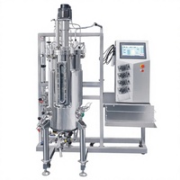 Ligne de production d'acide citrique à l'échelle pilote, bioréacteur à levure 100L avec cuve sous pression et moteur, facile à utiliser