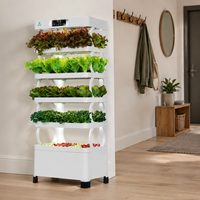 Système de jardinage vertical hydroponique avec éclairage LED, jardinière d'intérieur multi-niveaux pour légumes et herbes, arrosage automatique pour la maison