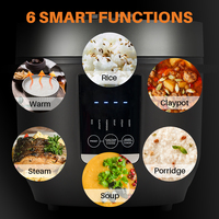 Mini Cuiseur à Riz Électrique Portable avec Poignée, Appareil de Cuisine Multifonctionnel, 2L