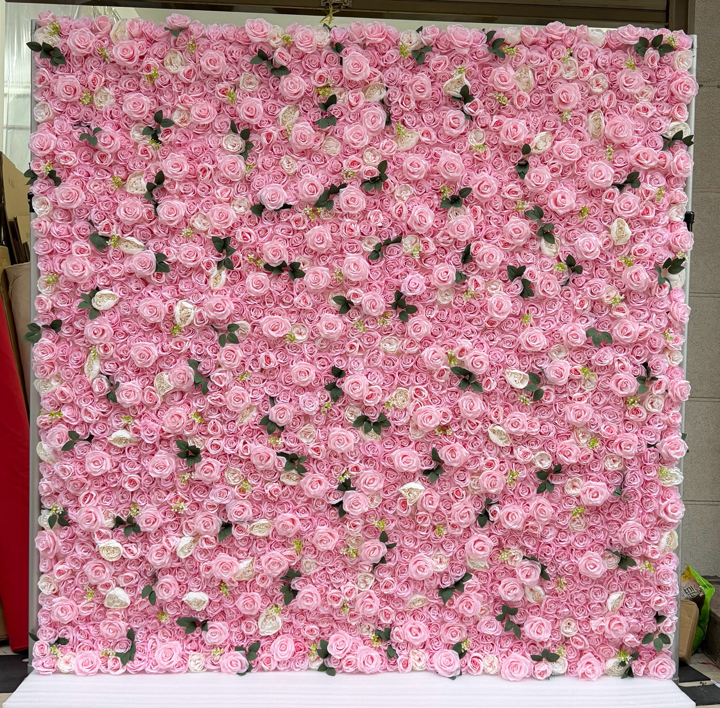 rosa # 1