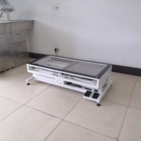 Table radiologique vétérinaire EURVET à levage électrique, en polycarbonate radiolucent, pour grands chiens