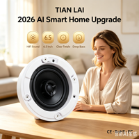 Sistem Audio Home Theater 2-Way Coaxial In-Ceiling Speaker Flush Mount dengan Grille Magnetik Tanpa Bingkai Performa Suara Hi-Fi