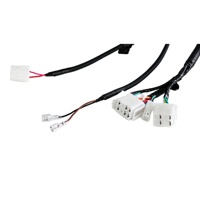 Harness Kabel Otomotif OEM/ODM Kustom dengan Isolasi PVC untuk Aplikasi Elektronik-Sampel Pabrik Tersedia