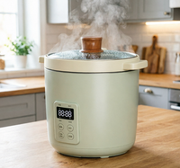 Mini-cuiseur à riz électrique individuel 1L, modèle R29/R31, 230W/300W, idéal pour les dortoirs