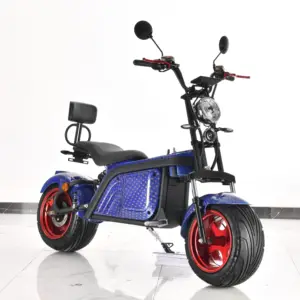 EEC COC 60V 2000W שומן צמיג אופניים חשמליים עם 60V 40Ah כפולה Battery120km ארוך טווח