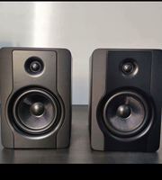 Altavoz Profesional Ecológico y Duradero de Madera para Monitor, 5 Pulgadas, Dos Vías, Monitores de Estudio Activos de 70W BX-5D2 para Uso en Estudio
