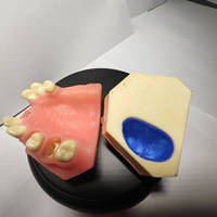Modelo Maxilar de Práctica de Implantes Dentales KyrenMed con Seno