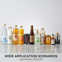Ligne d'embouteillage monobloc entièrement automatique 3-en-1 pour jus de fruits et boissons, avec surveillance IoT, rinçage et emballage