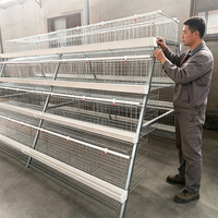 Cage à poules de type A galvanisée à chaud Linchuan, capacité 96-160 poules, conception à étages pour économiser l'espace, idéale pour les fermes avicoles