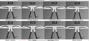 equilibrio gobernante/cejas herramienta de modelado para principiantes 8 estilos de eyebrowers - Product Image 4