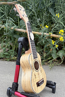 Vente en gros Aiersi Marque 21 pouces ukulélé soprano de haute qualité Curly Spalted Maple Ukelele Guitare Cordes Instrument de musique