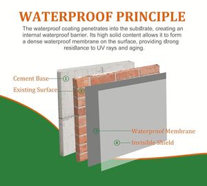 Revestimiento Sellador Impermeable de Poliuretano - Líquido Transparente Ecológico para Reparación de Fugas en Techos y Cimentaciones, Uso Interior/Exterior - Product Image 4