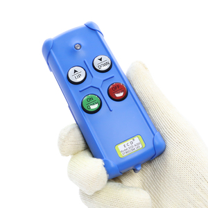 Polipasto eléctrico de alta eficiencia personalizado de fábrica Control remoto de radio industrial Precio óptimo - Product Image 3