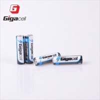 Batería Alcalina AA de 1.5V a Precio Económico, Celda Primaria para Juguetes/Juguetes Educativos