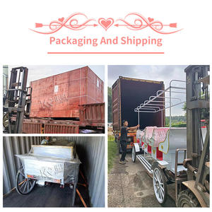 Decoraciones Fúnebres, Carroza Eléctrica para Ataúdes, Carroza para Entierro, Se Aceptan Personalizaciones, Carrozas para Caballos, Remolque para Carroza - Product Image 6