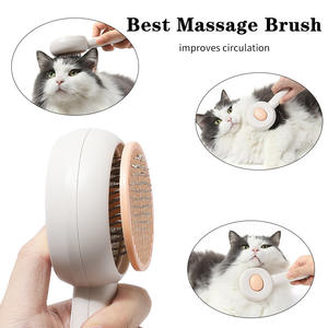 مشط جديد لإبرة القط من الفولاذ المقاوم للصدأ عبر الحدود مشط بلاستيكي لشعر الكلب مع فرشاة تدليك لإزالة الشعر بمفتاح واحد - Product Image 4