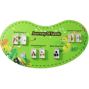 Tohumlar duvar oyunu eğitim yeni varış gerçek bitki örnek yolculuk çocuklar sınıfta öğrenmek için eğlenceli artırmak