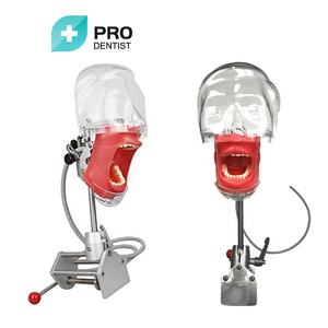 Pratique d'implant modèle de mâchoire dentaire au meilleur prix - Product Image 4