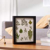 Cadre en bois pour spécimens avec support en lin, design ajouré pour l'affichage de fleurs séchées et de papillons, boîte à ombre DIY pour artisanat, vente en gros